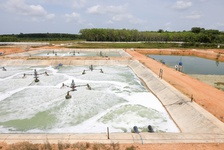 oczyszczanie3.jpg, Environment
