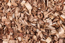 environmental-sustainabilty-7.jpg, Environment
