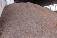 environmental-sustainabilty-6.jpg, Environment