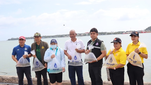 messageImage_1750760410924.jpg, Mercator World Environment Day 2025