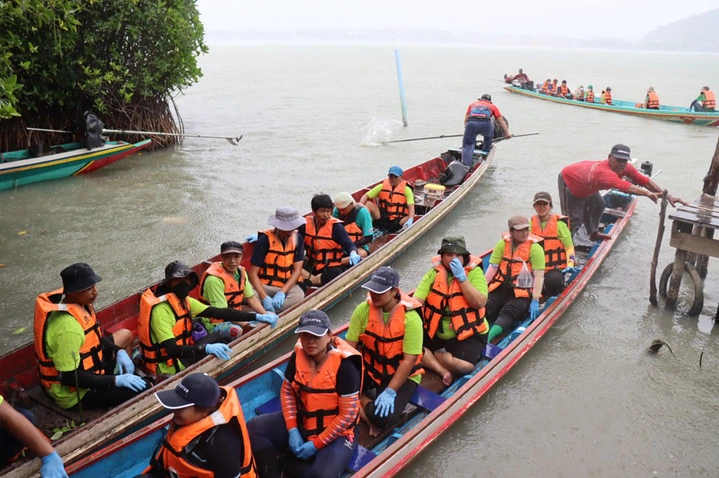 Mercator World Environment Day 2025