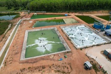 environmental-sustainabilty-1.jpg, Environment