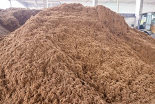environmental-sustainabilty-9.jpg, Environment