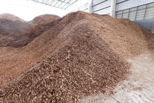 environmental-sustainabilty-1.jpg, Environment