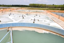 environmental-sustainabilty-2.jpg, Environment