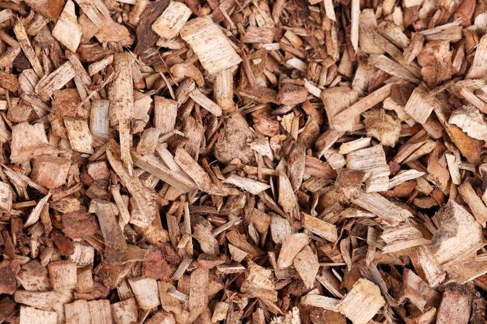 environmental-sustainabilty-7.jpg, Environment
